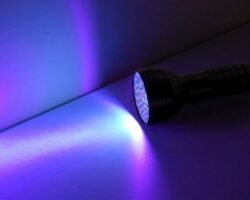 The Best UV Flashlight Review