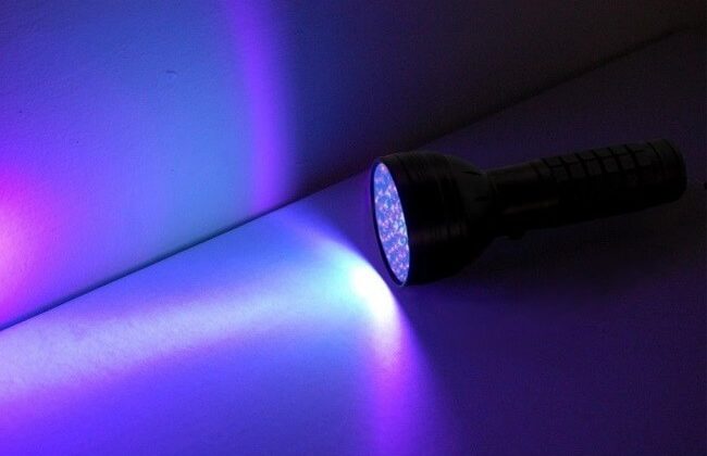 Best UV Flashlight