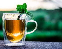 The Best Jasmine Tea – (Recommended By Experts)