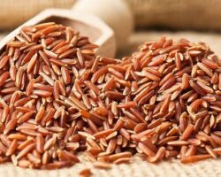 The Best Red Yeast Rice of 2021 – (Recommended)