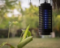 Top 5 Best Mosquito Trap